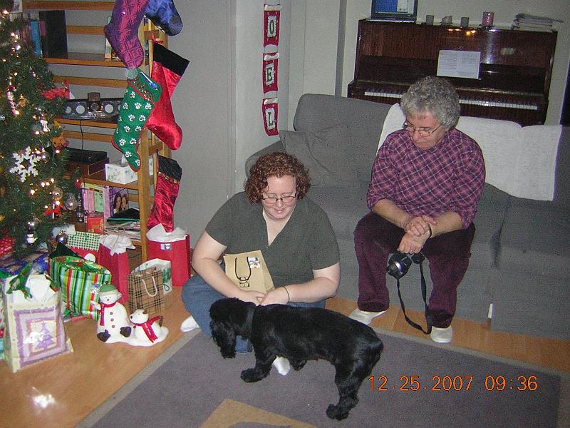 05 Bailey is curious.JPG